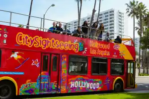 City Sightseeing Hop-On, Hop-Off