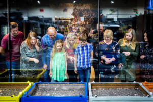 The Royal Mint Experience