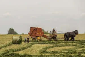 Philadelphia & Amish Day Tour