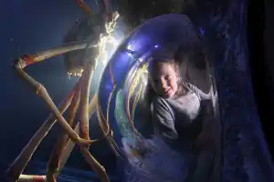 SEA LIFE Manchester