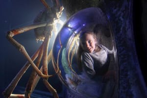 SEA LIFE Manchester