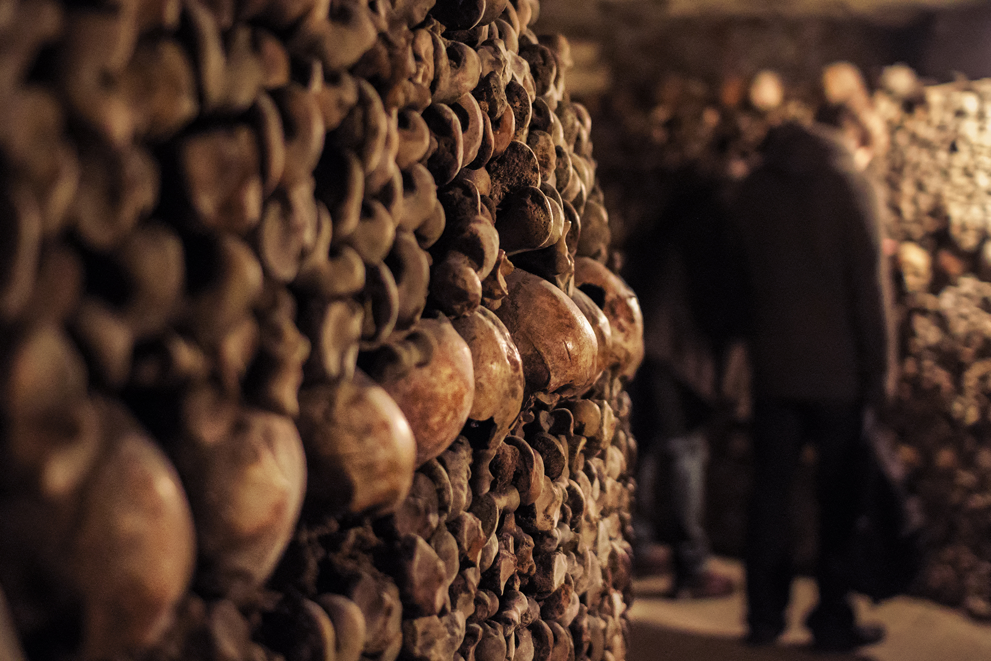 Skip-the-Line Paris Catacombs Special Access Tour in Small Group - Alojamientos en Paris