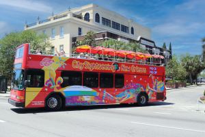 Bus with Basin