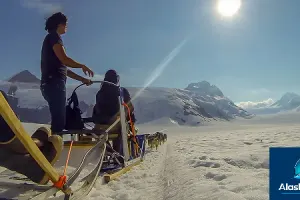Mendenhall Glacier Flight & Dog Sled Tour (Juneau)