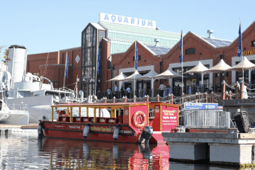 Winter at the water’s edge: fun activities at the V&A Waterfront