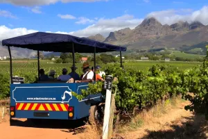 Stellenbosch Wine Tractor Xplorer: Hop-On, Hop-Off Vineyard Adventure