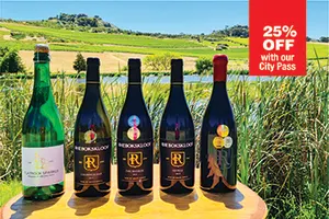 Paarl, Franschhoek, Stellenbosch Three Region Xplorer Wine Tour