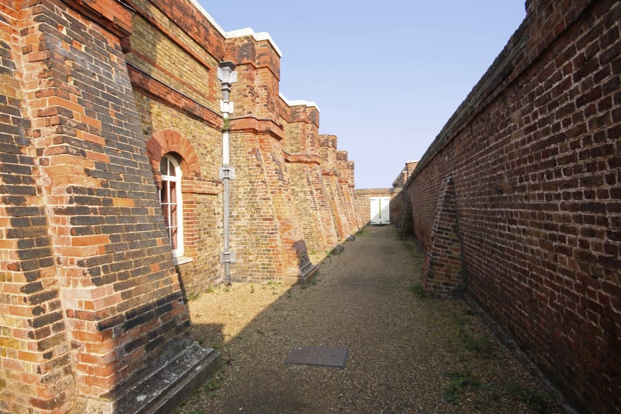 Main Image
