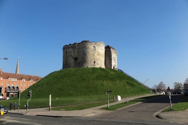 Main Image