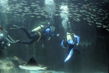 Cape Town stop of the month: Two Oceans Aquarium