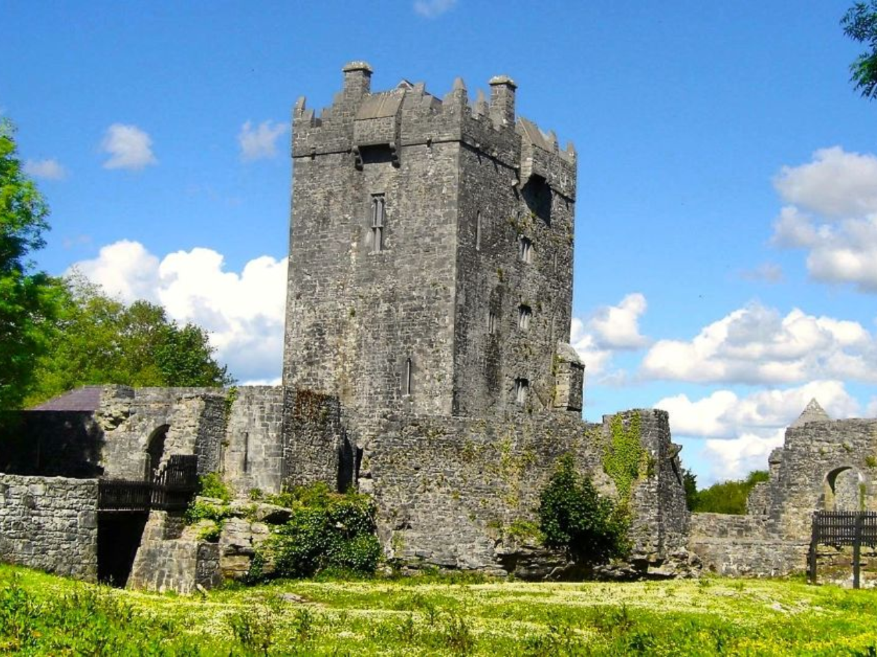 Tour del Connemara da Galway con Abbazia di Kylemore e dimostrazione di cani da pastore - Alloggi in Galway
