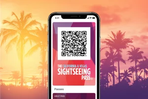 The Sightseeing California/Vegas Flex Pass