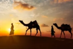 Dubai Desert Safari and BBQ Dinner