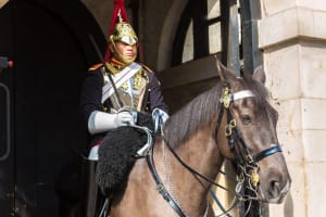 Household Cavalry Museum