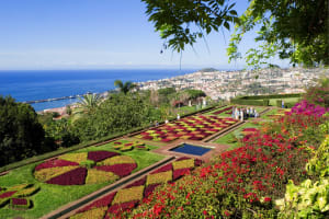 Botanical Garden