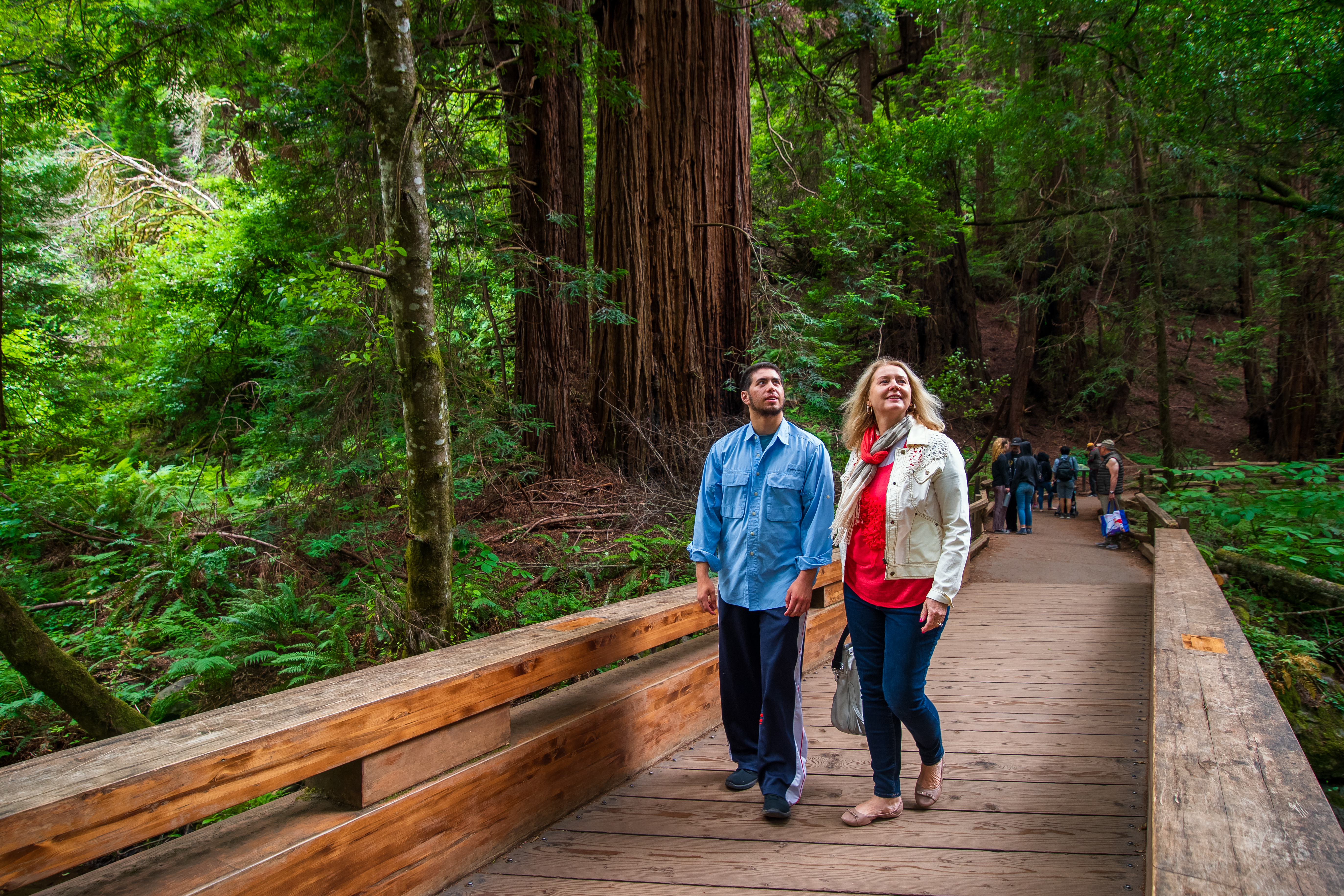 Excursión por la Mañana a Muir Woods y Sausalito - Alojamientos en San Francisco