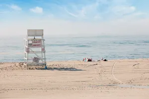 Amadeo Travel Hamptons, Sag Harbor & Outlet Shopping, 1-Day Tour from NYC