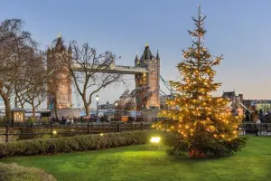 1 day Hop-on Hop-off Tour - Christmas Day