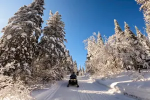 Snowmobiling Guided - Upper Laurentians - Half and Full day tours