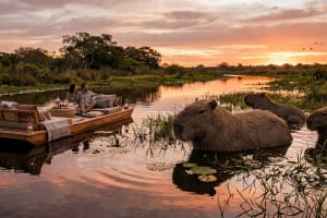 Vercel AI Capybara Variant