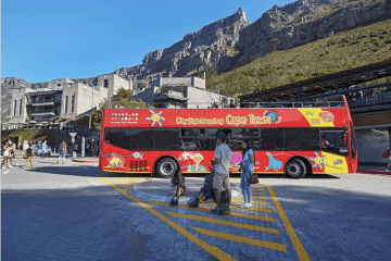 Experience The City Life on The Cape Town Downtown Tour
