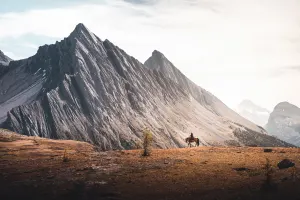 Halfway Lodge (6 Day 5 Night)