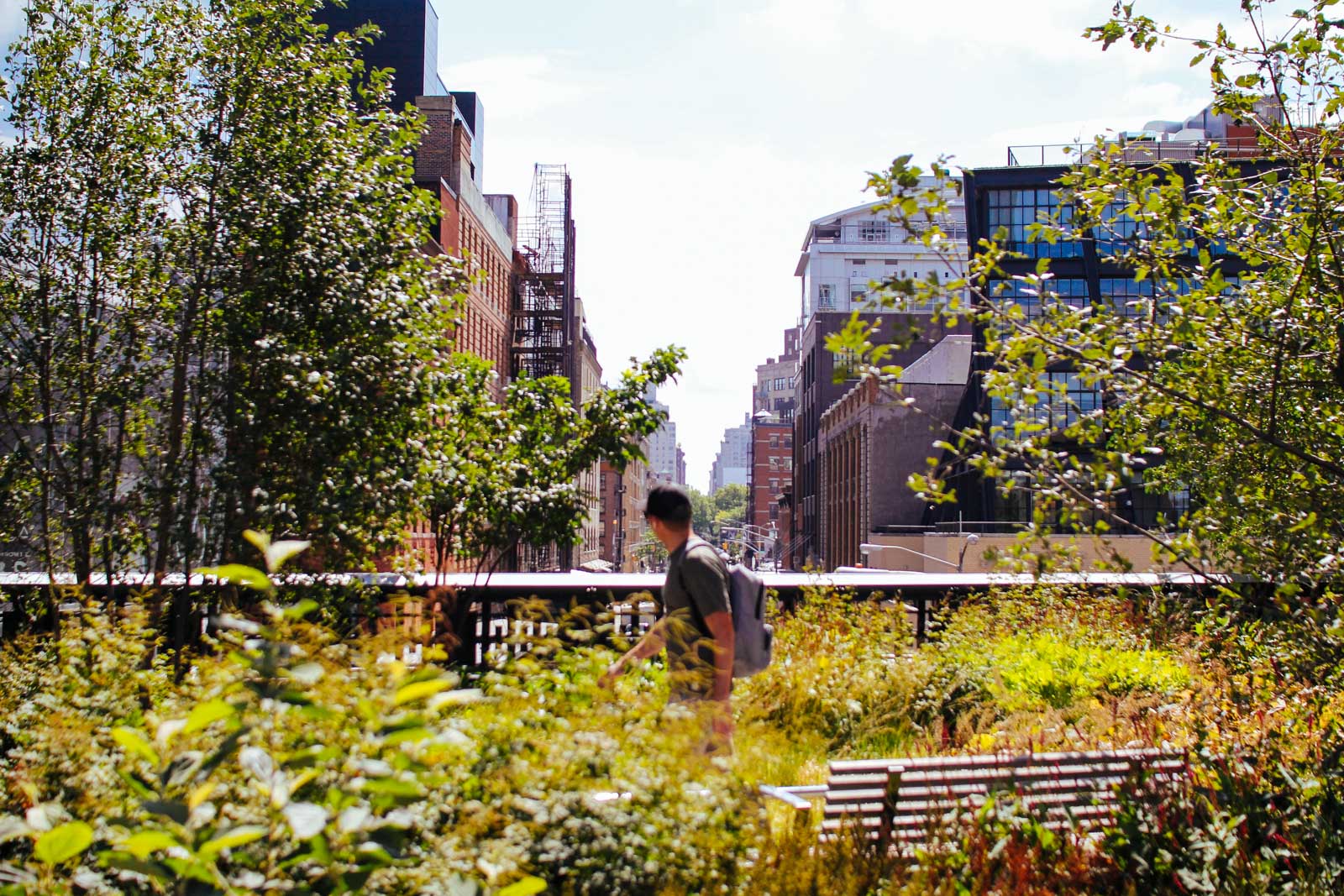 High Line and Chelsea Walking Tour in Small Group - Alojamientos en Nueva York