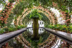 NY Botanical Garden