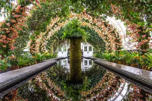 NY Botanical Garden