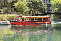 Recommendation: Harbour Cruise