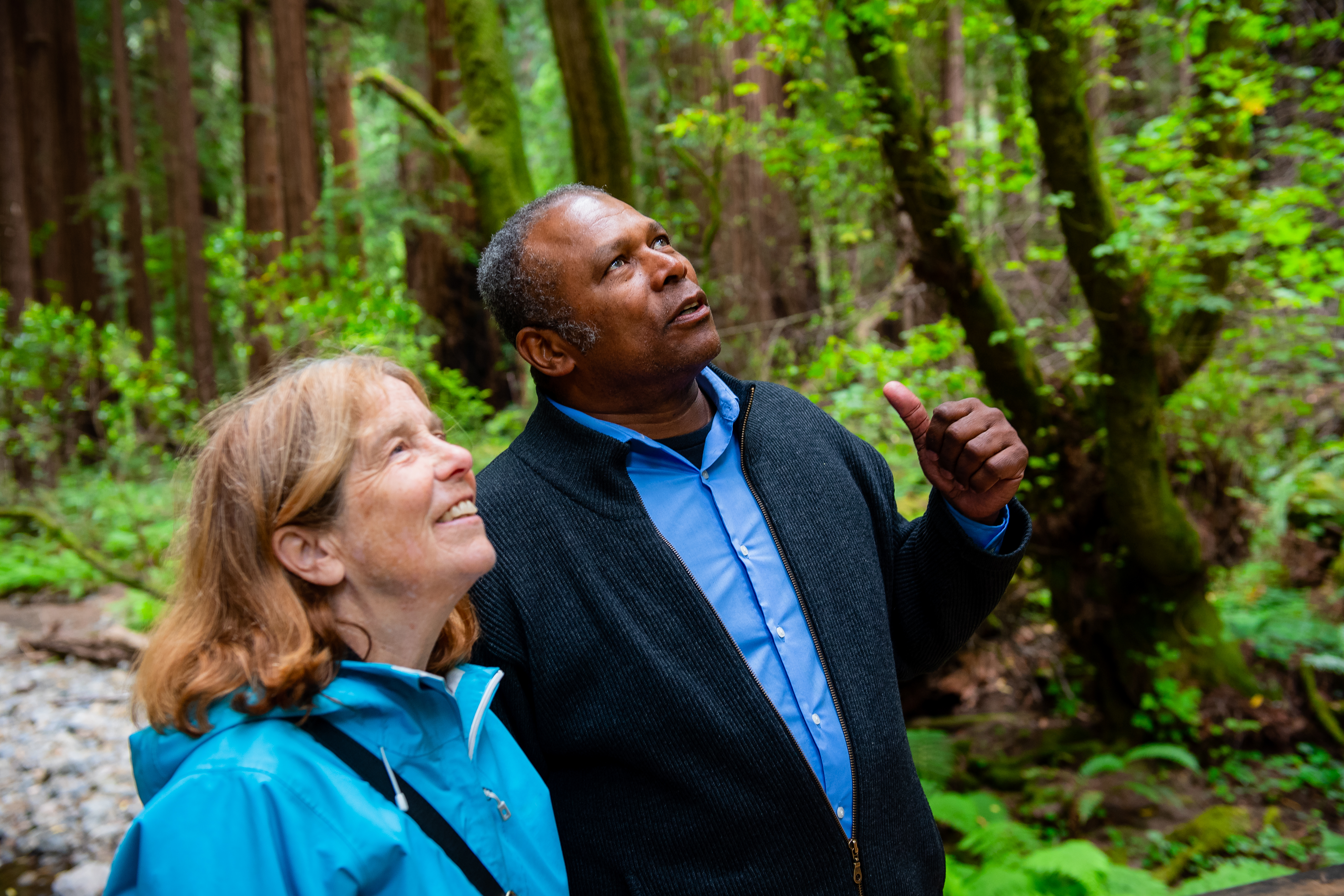 Escursione Mattutina a Muir Woods e Sausalito - Alloggi in San Francisco