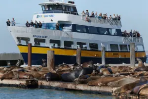 San Francisco Blue and Gold Fleet Bay Cruise