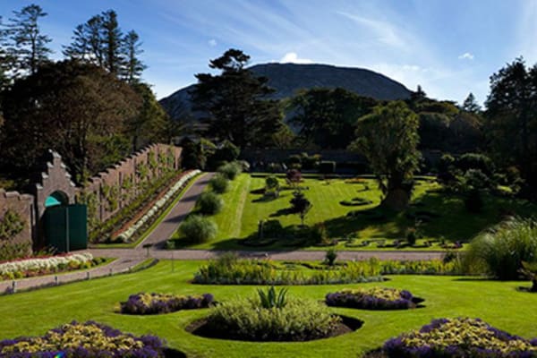 The Victorian Walled gardens comprise of roughly 6 acres, devided in two by a beautiful mountain stream. Each side boasts an eclectic yet meticulously organised array of flora and fauna, all native to the west of Ireland.