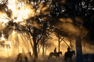Arkansas Valley Horseback Riding: 2 Hour Ride