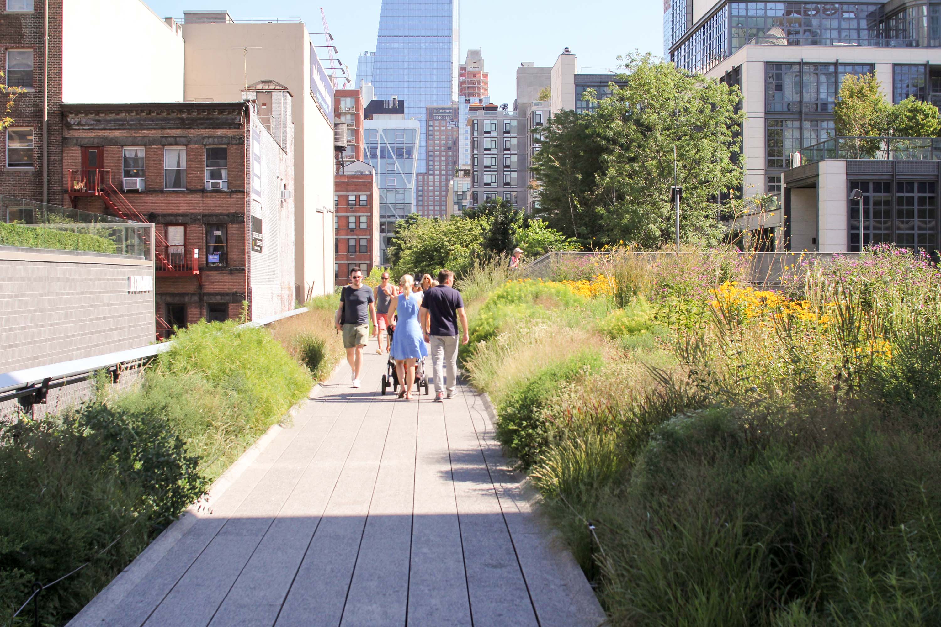 High Line and Chelsea Walking Tour in Small Group - Alojamientos en Nueva York