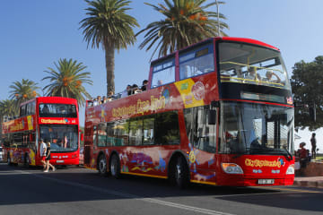 Spend the Women's Day long weekend on the bus and explore Cape Town