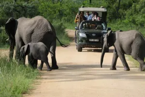 3 Day - Best of the Kruger