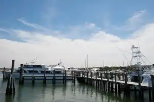 The Hamptons, Sag Harbor & Shopping Day Trip
