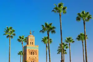 Private Marrakech Medina, Palaces & Tombs Discovery Tour