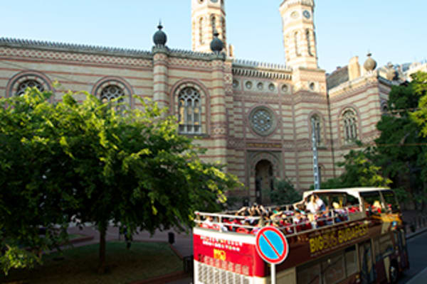 Main Image