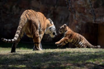 Top Activities to Keep the Kids Busy these School Holidays in Johannesburg