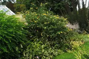 Snug Harbor Cultural Center and Botanical Garden