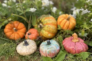 Clay Pumpkin Workshop at Gainsborough Old Hall