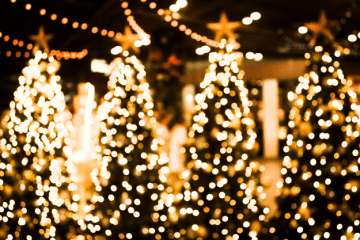 Things to do in Cape Town on Christmas day