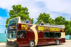 Big Bus Chicago 48-Hour Hop-on, Hop-off Tour with 360 Chicago ticket