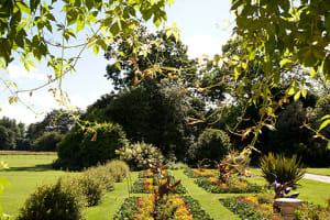 Biodiversity Tour of Down House Gardens