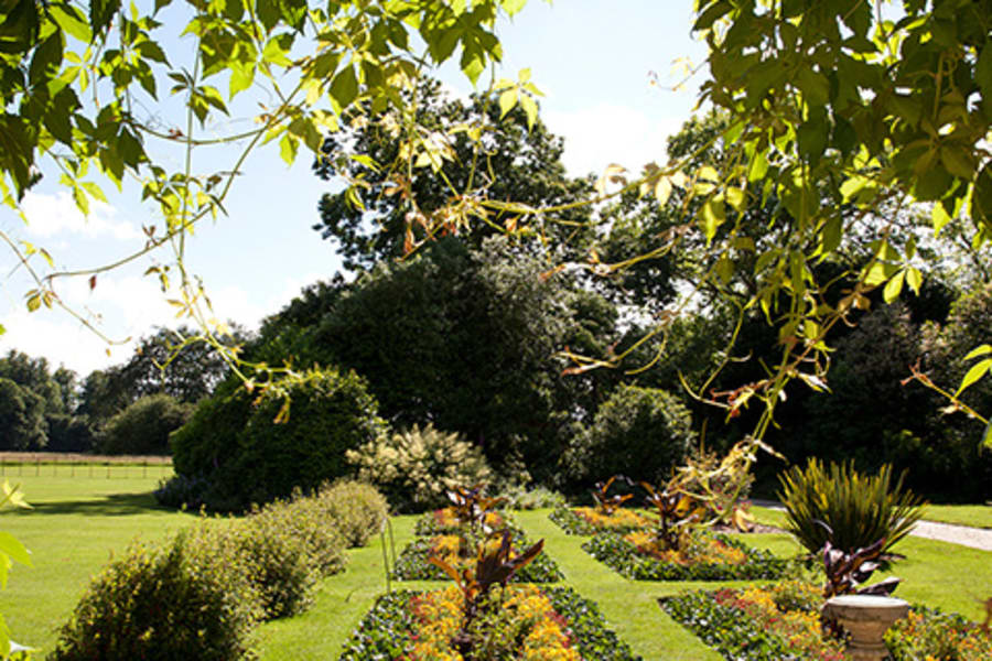 Biodiversity Tour of Down House Gardens
