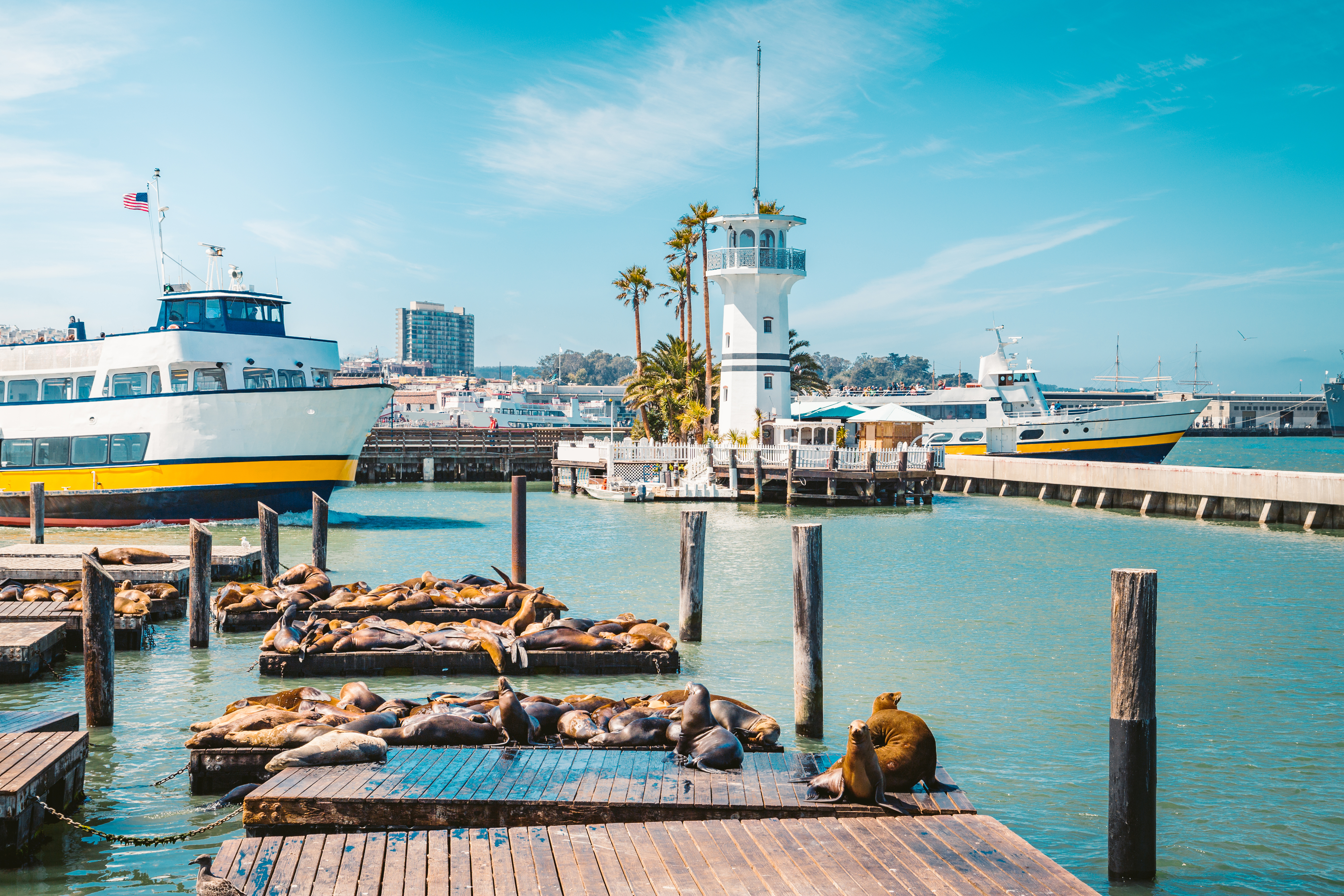 Fisherman’s Wharf Walking Tour with Optional Bay Cruise in Small Group - Acomodações em São Francisco