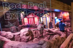 SEA LIFE Great Yarmouth