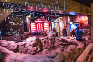 SEA LIFE Great Yarmouth
